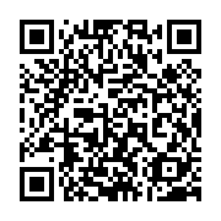 QR code for plate 17Y P28