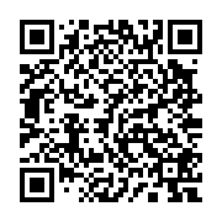 QR code for 17Z P08