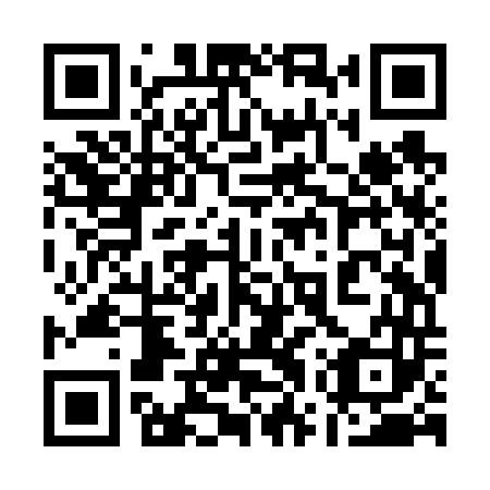 QR code for plate 17Z V43