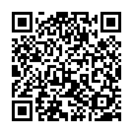 QR code for 18N P49