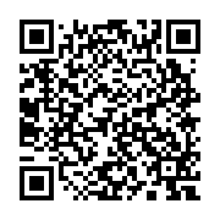 QR code for 18Q 393