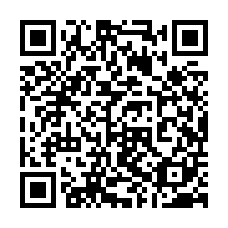 QR code for plate 18X Z01