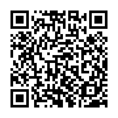 QR code for 19B P50