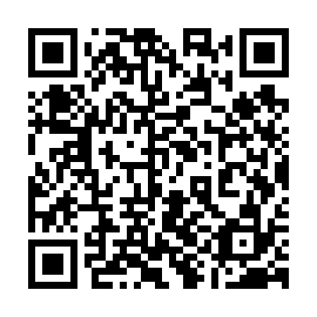 QR code for plate 19G V32