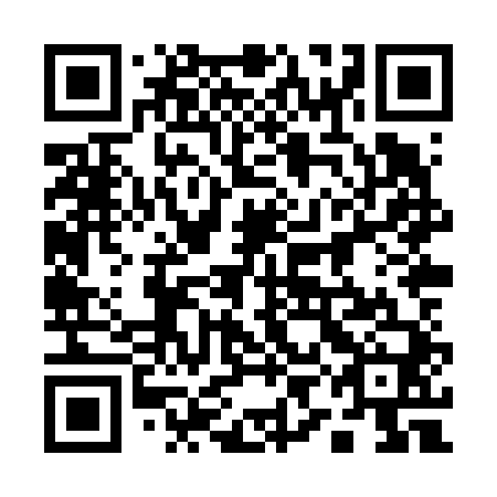 QR code for plate 19H V40