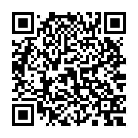 QR code for 19N Z33
