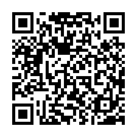 QR code for 19P 233