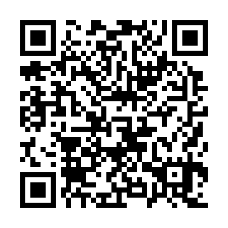 QR code for 19P 335