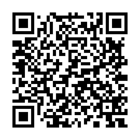 QR code for 19P X19