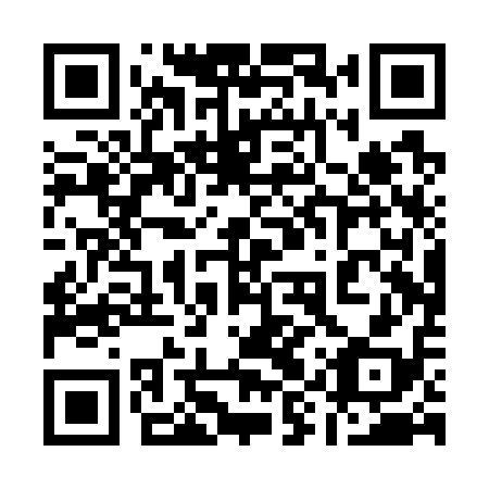 QR code for plate 19P W18