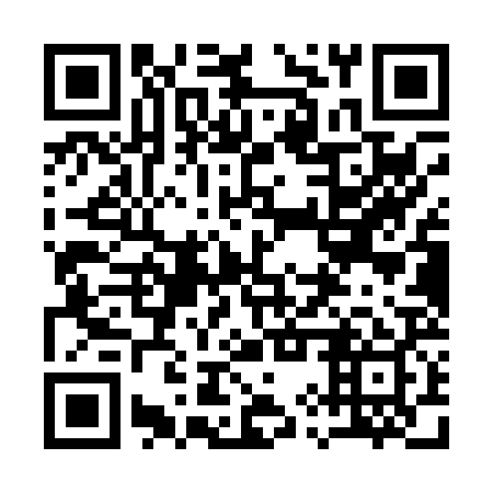 QR code for 19Q P29