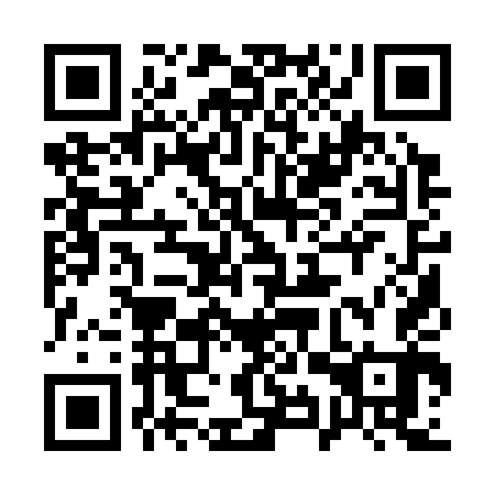 QR code for plate 19Q 343