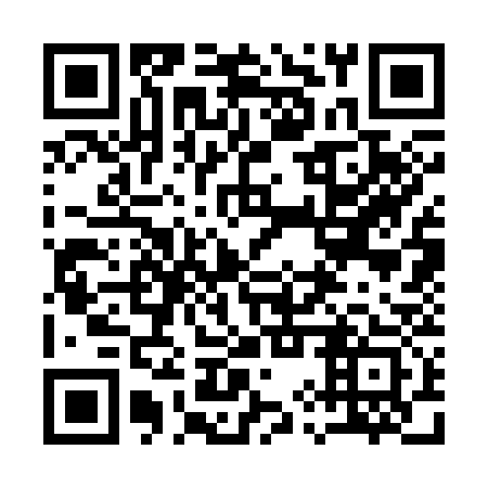 QR code for plate 19S 333