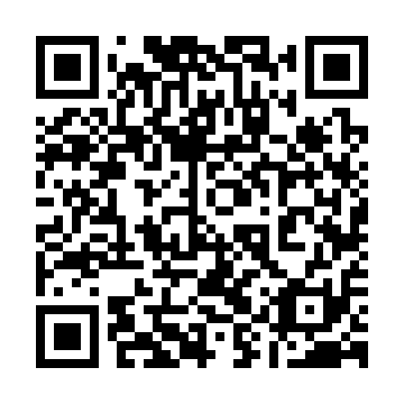 QR code for plate 19V 311
