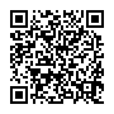 QR code for plate 19V 390