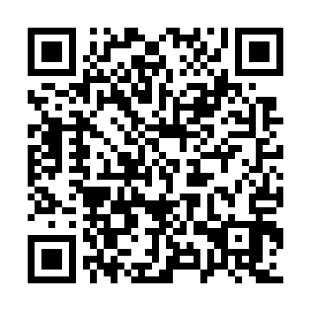 QR code for plate 19V G13