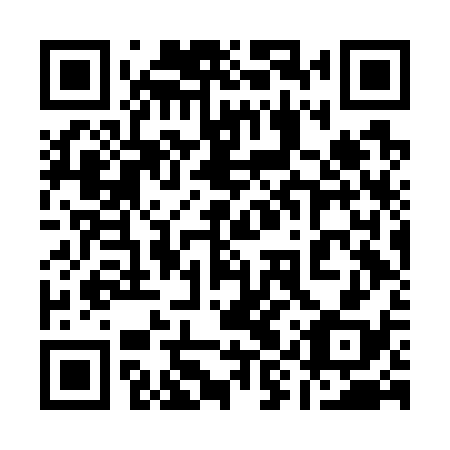 QR code for plate 19V G38