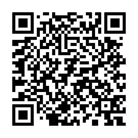 QR code for plate 19W DS1
