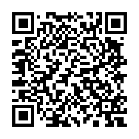 QR code for plate 19Y 411