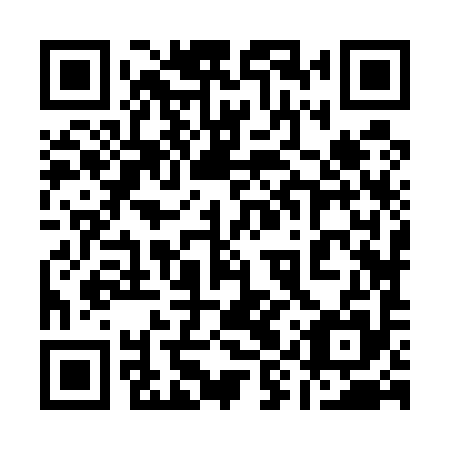 QR code for 19Z595