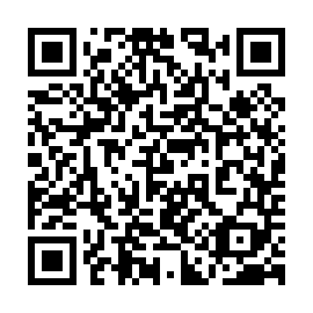 QR code for plate 1A3 049