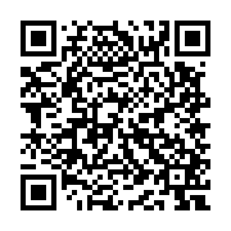 QR code for plate 1A5 541