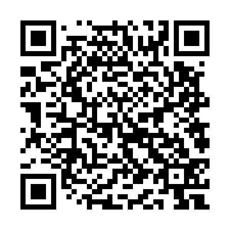 QR code for plate 1A6 533