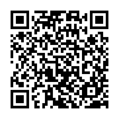 QR code for plate 1AK 384