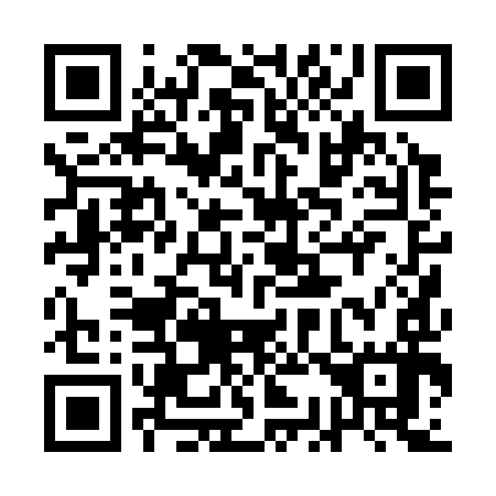QR code for plate 1C0 397