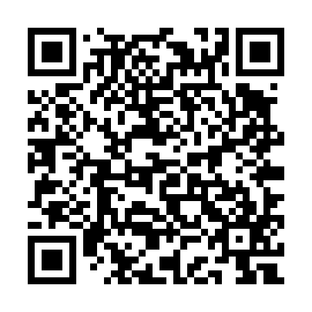 QR code for plate 1CE T97