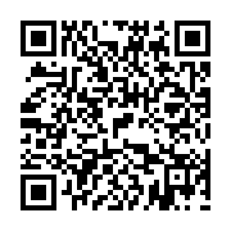 QR code for 1CI 383