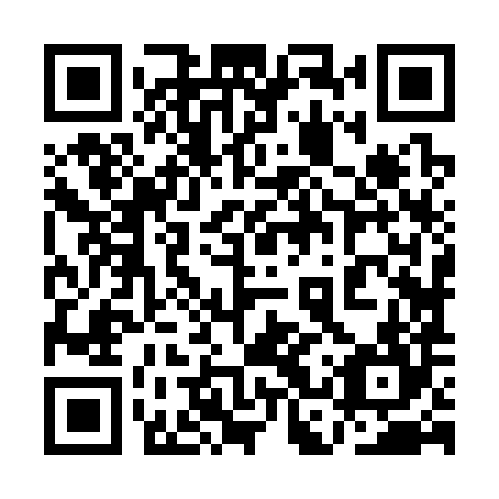 QR code for 1CZ 384