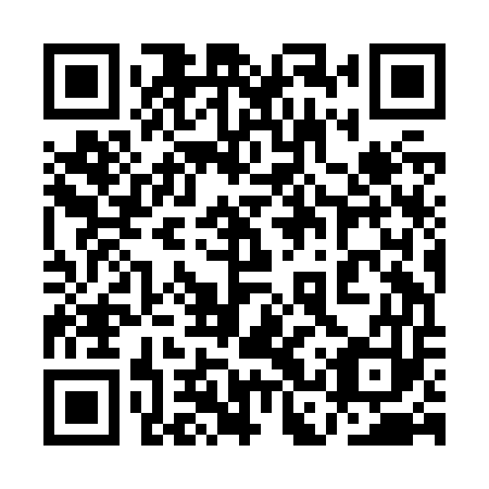 QR code for plate 1CZ J53