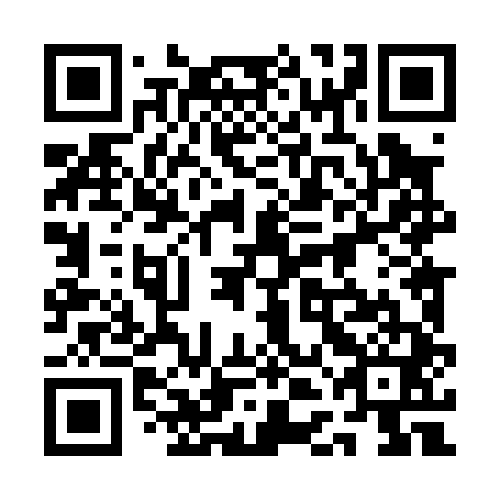 QR code for plate 1DL 041