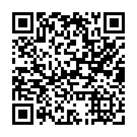 QR code for 1DS P49