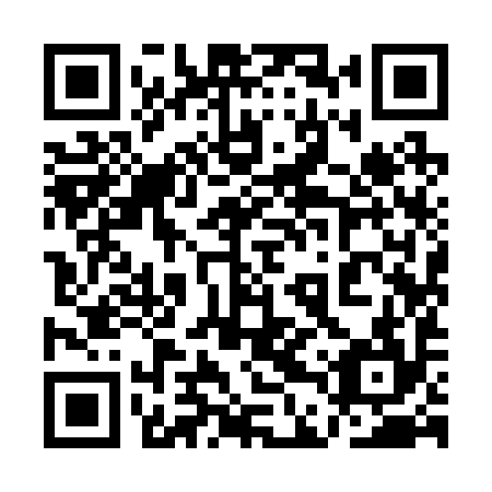 QR code for 1DY 294