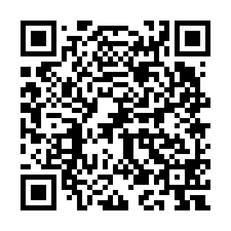 QR code for plate 1E1 698
