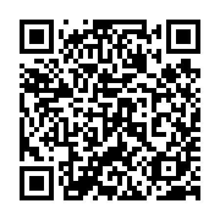 QR code for plate 1E3 681