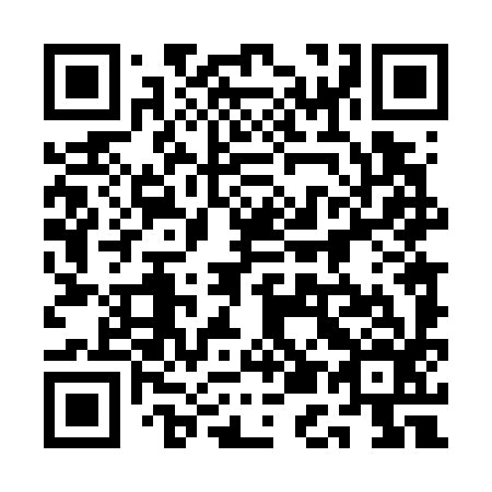 QR code for plate 1E4 796
