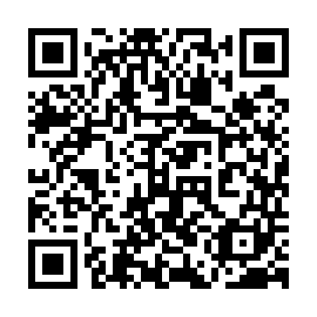 QR code for plate 1EI 541