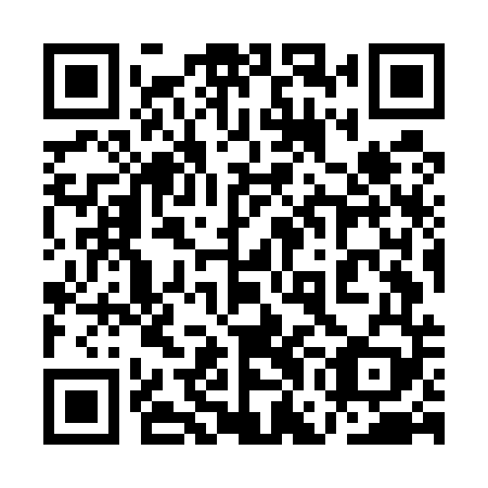 QR code for plate 1GO E49