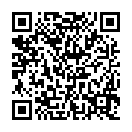 QR code for plate 1GR L96