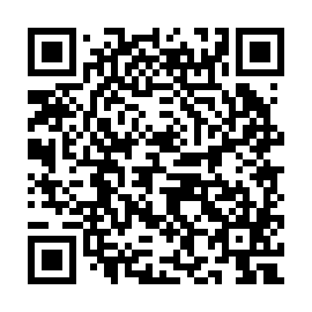 QR code for plate 1H0 285