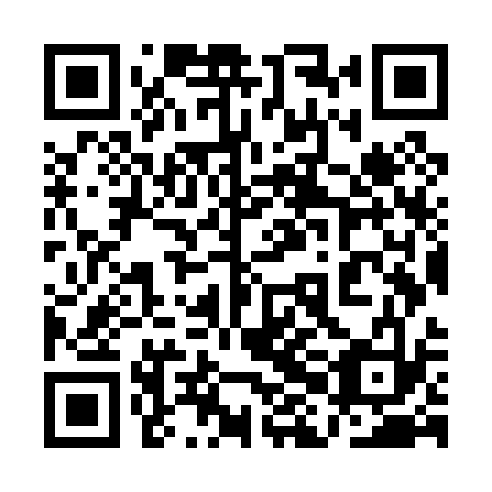 QR code for plate 1HO P33