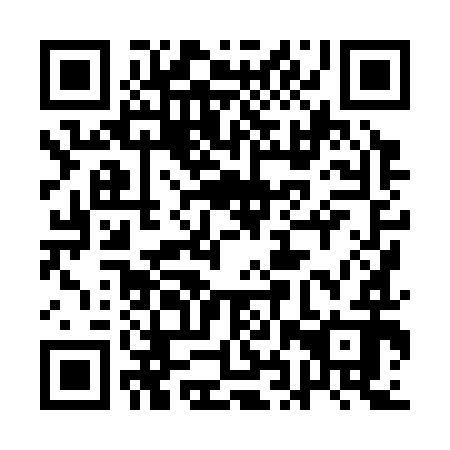 QR code for plate 1HX 392