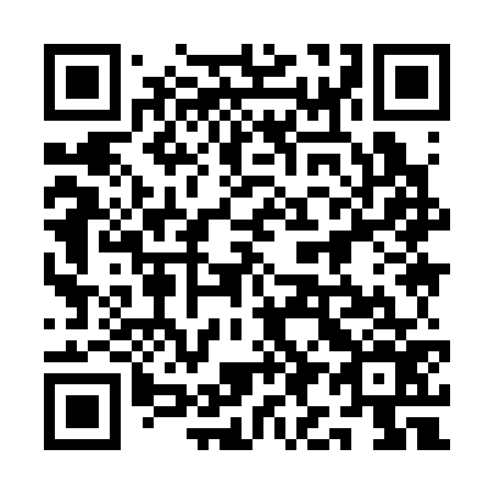 QR code for plate 1I9 376