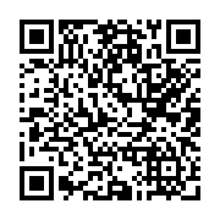 QR code for plate 1I9 385