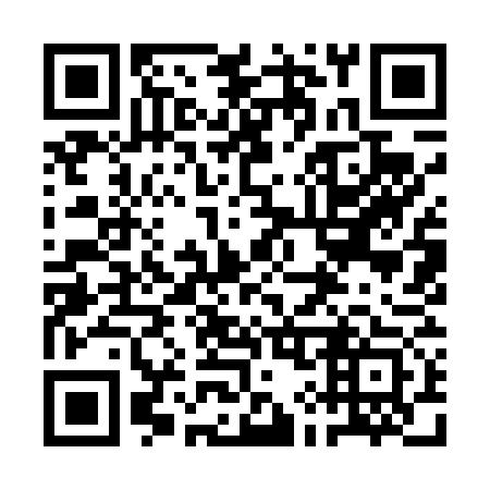 QR code for plate 1I9 473