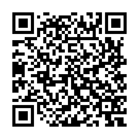QR code for plate 1IG 976