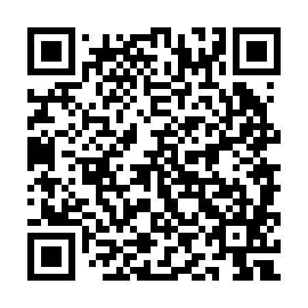 QR code for 1IN 285
